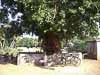 2007-Navagraha-Temples-143