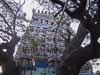 2007-Navagraha-Temples-48
