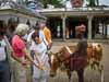 2008-Navagraha-Temples-131