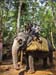 2011-Rahu-Ketu-Kerala-13