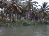 2011-Rahu-Ketu-Kerala-60