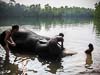 2011-Rahu-Ketu-Kerala-69