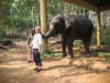 2011-Rahu-Ketu-Kerala-76