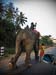 2011-Rahu-Ketu-Kerala-96