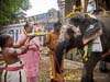 2013-Five-Elements-Temples-81
